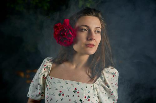 Night Rose
