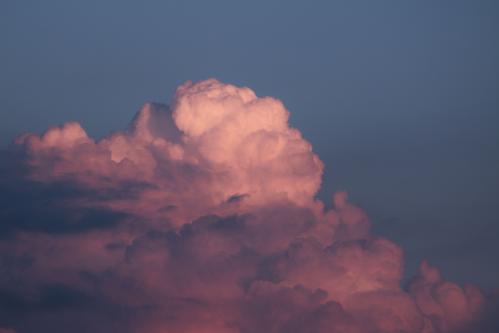 1782616991