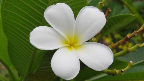 1782794808