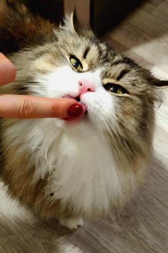 ��, � ������!