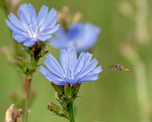 ���������� ��������: 