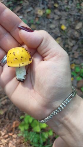 � ��� � �� ���, ������ ��, ���������)