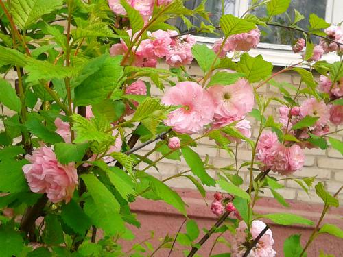 �������� �����