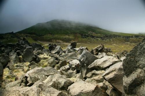 ������������� �����