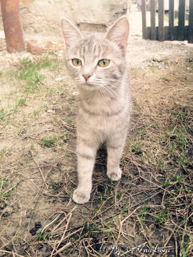 ��� �����