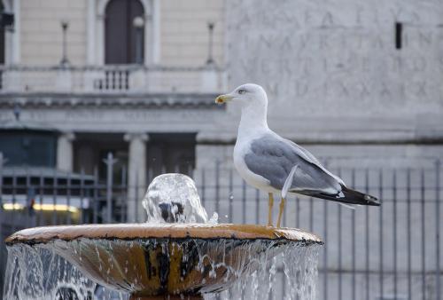 ������� �����