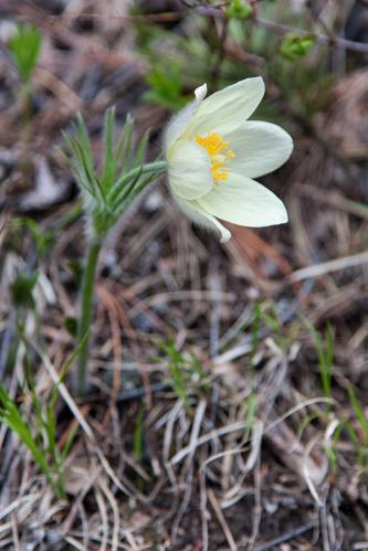 ��������� ��������