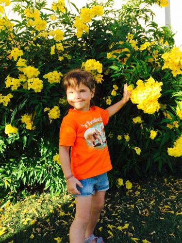 � ������