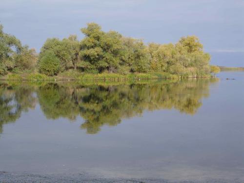 ��������� ���� ���������