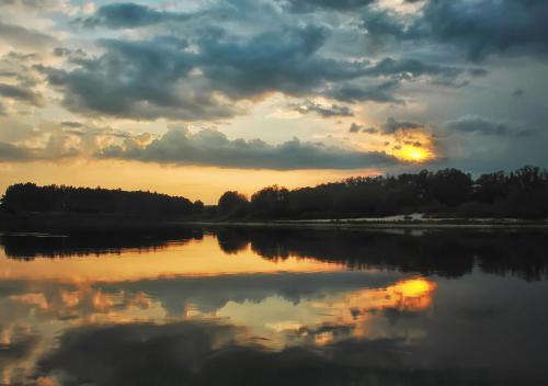 �� ������ ���