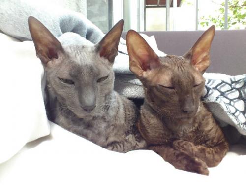 ������ ����.