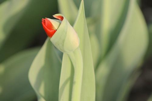 �����������...