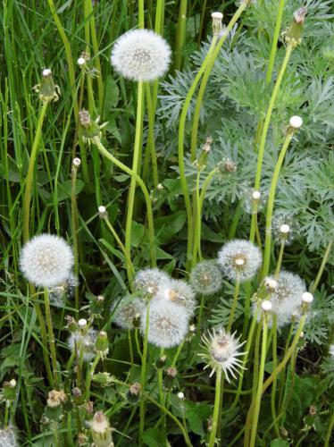 �  ����� ������� � ��������