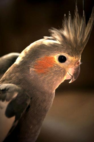 �������