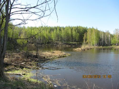 ����� � �������� ����