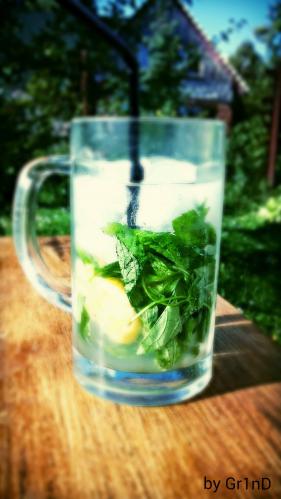 summer mojito