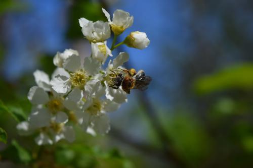 ������ ���� ������