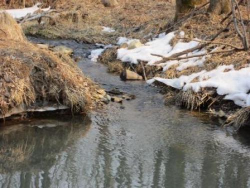 ����� ����! ����� ������!