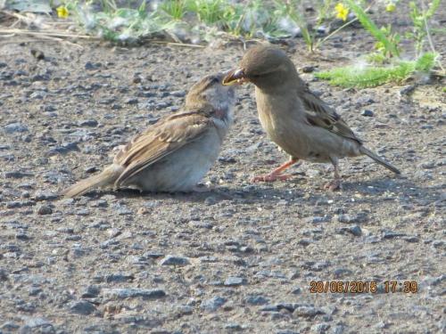 ��������� ������