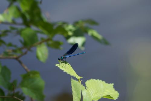 ������������ ���