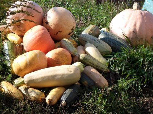 �������� ������