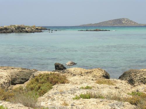 ������� ���������