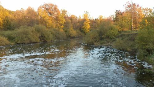 �������� ���