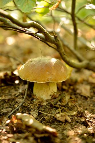 � �� �������� ����