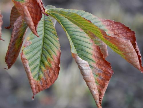 ���� ��� �� ����