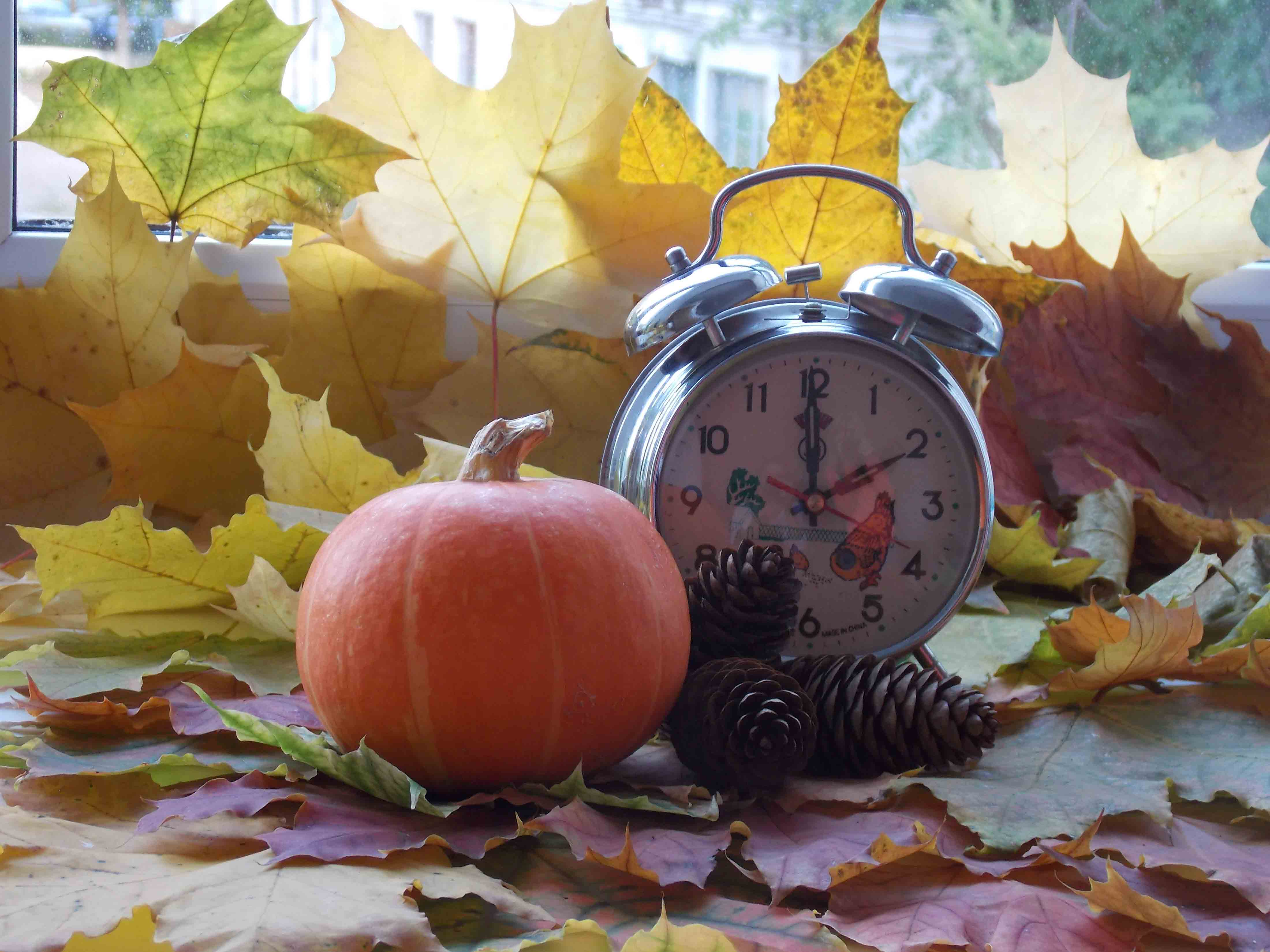 6 октября время. Осенние часы. Осенние часики. Времена года осень. Здоровая осень.
