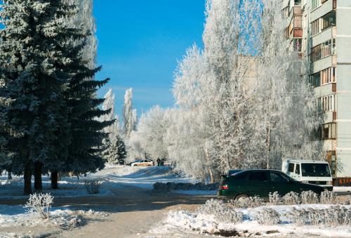 ������ ����