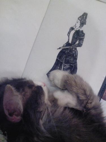 ����� ����