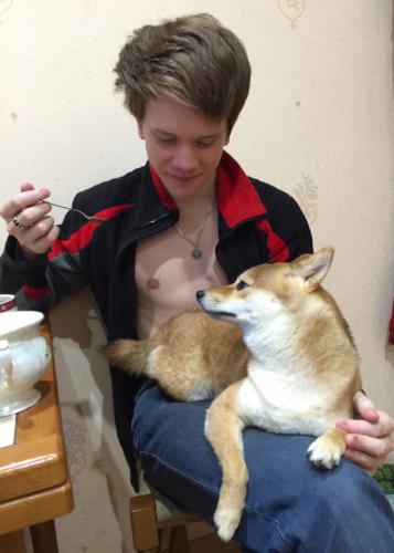 �� ���� �� ����