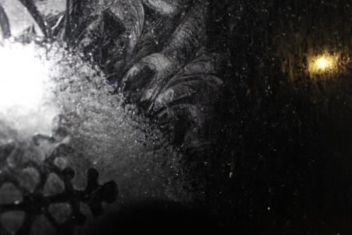 ������ ����