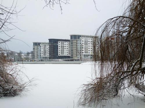 ������ ������������