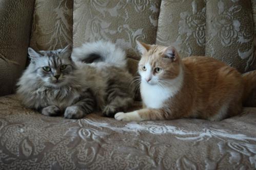 ���� � �����