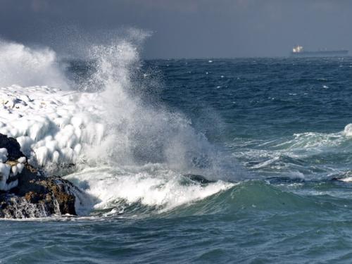 ������� �����