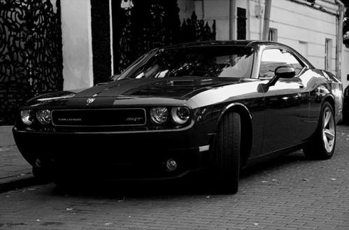 Dodge