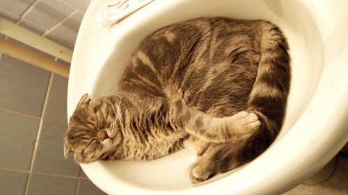 ��� �� ��������� �� ����