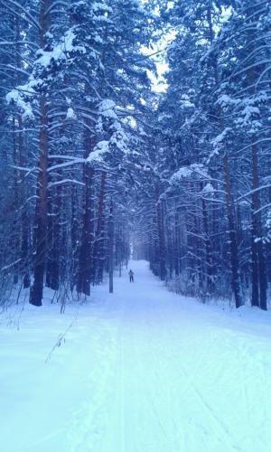 �������� ����