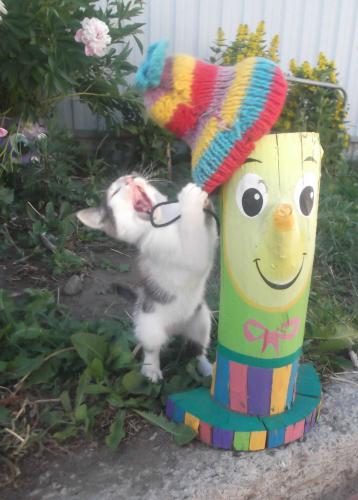 ������ ������