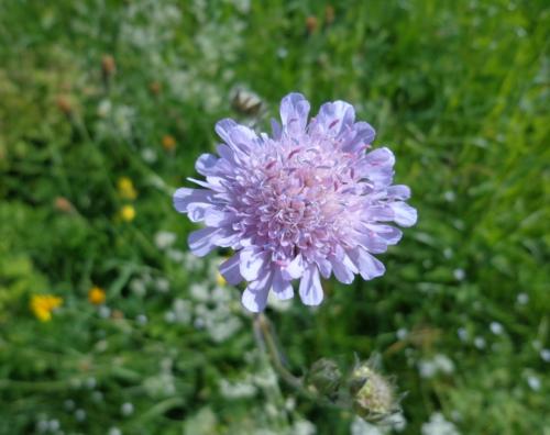 ������� ����� ����������� ����������