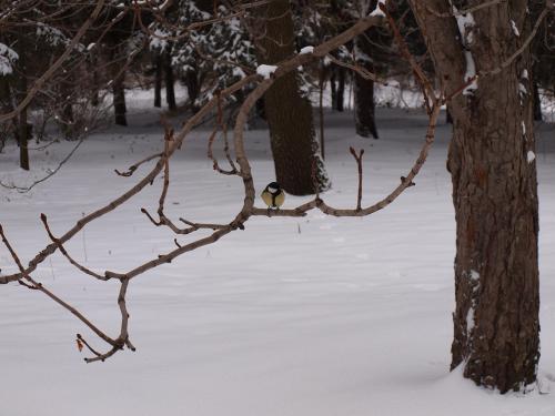 ������ �� ������� �����