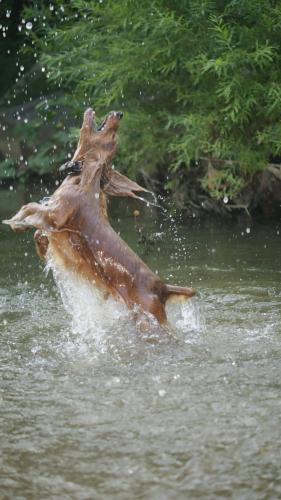 ��� �� ���� - � ���� �����?...