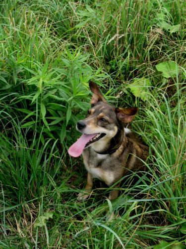 ���� ������ ������ � ���� ���� ��������