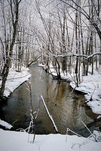 река Анюй