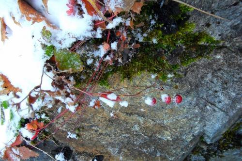 ����� � ������������