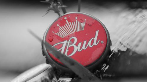 Bud