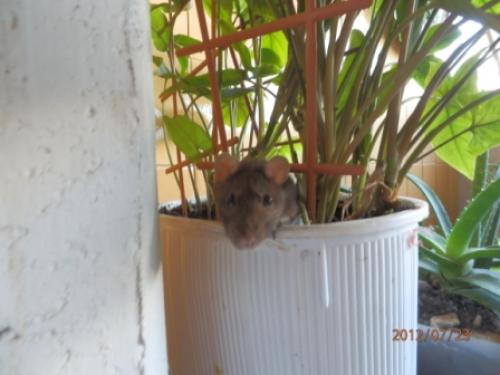 � ��� � � .......