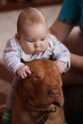 ���� �������